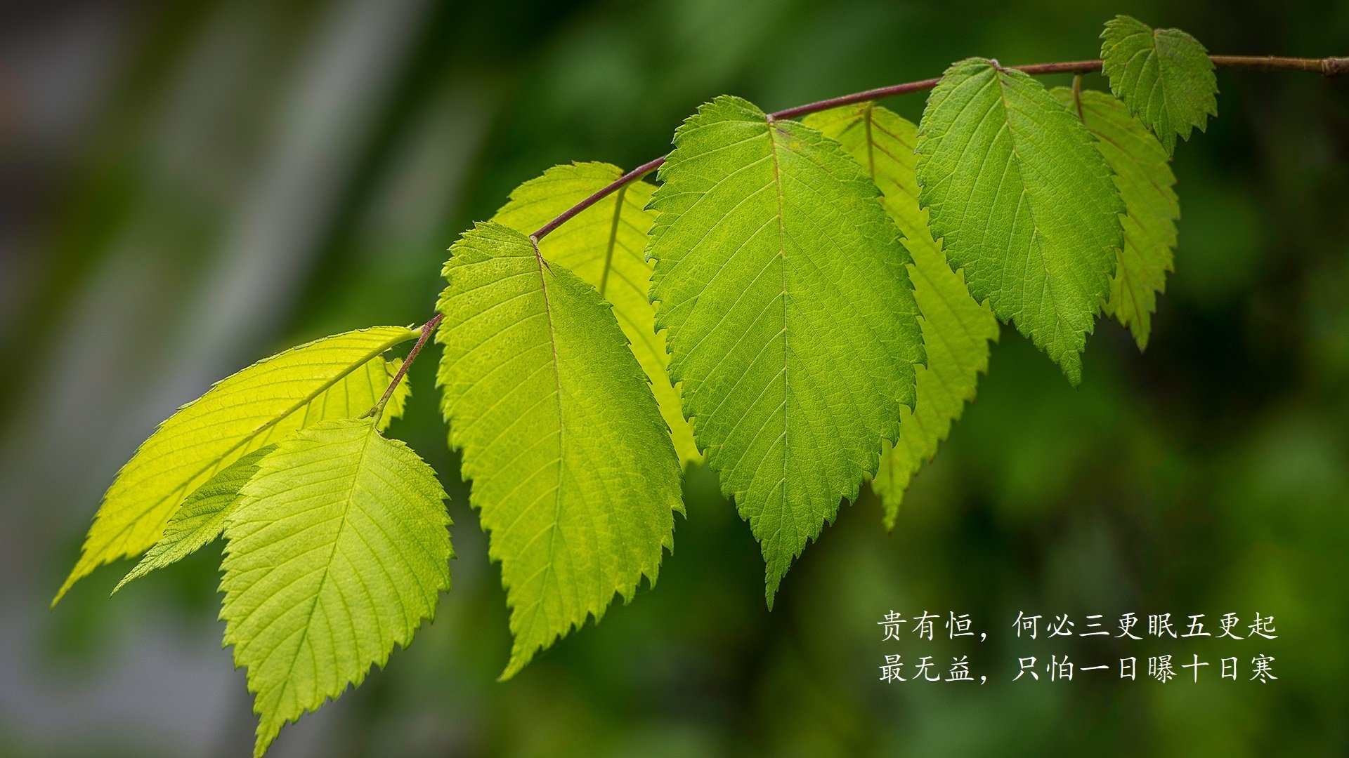 爱游戏体育APP下载-史上“最无敌”团队合作：战术、配合、默契都到极致，团队作战的游戏有哪些