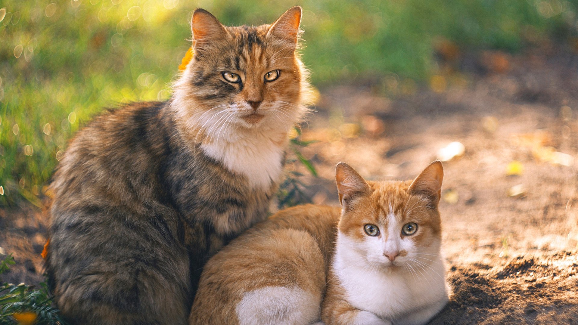 梅西助攻破百，巴黎在法甲高歌猛进，巴黎足球梅西