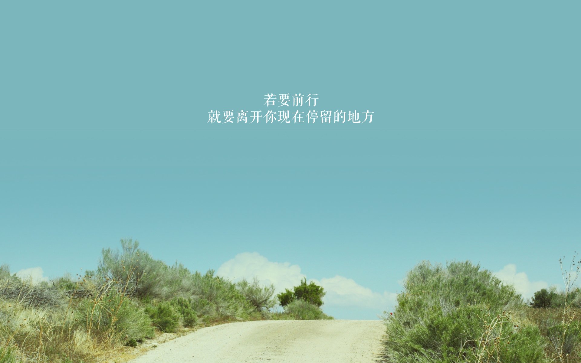 热血对决：最激烈的季后赛经典比赛，热血对抗