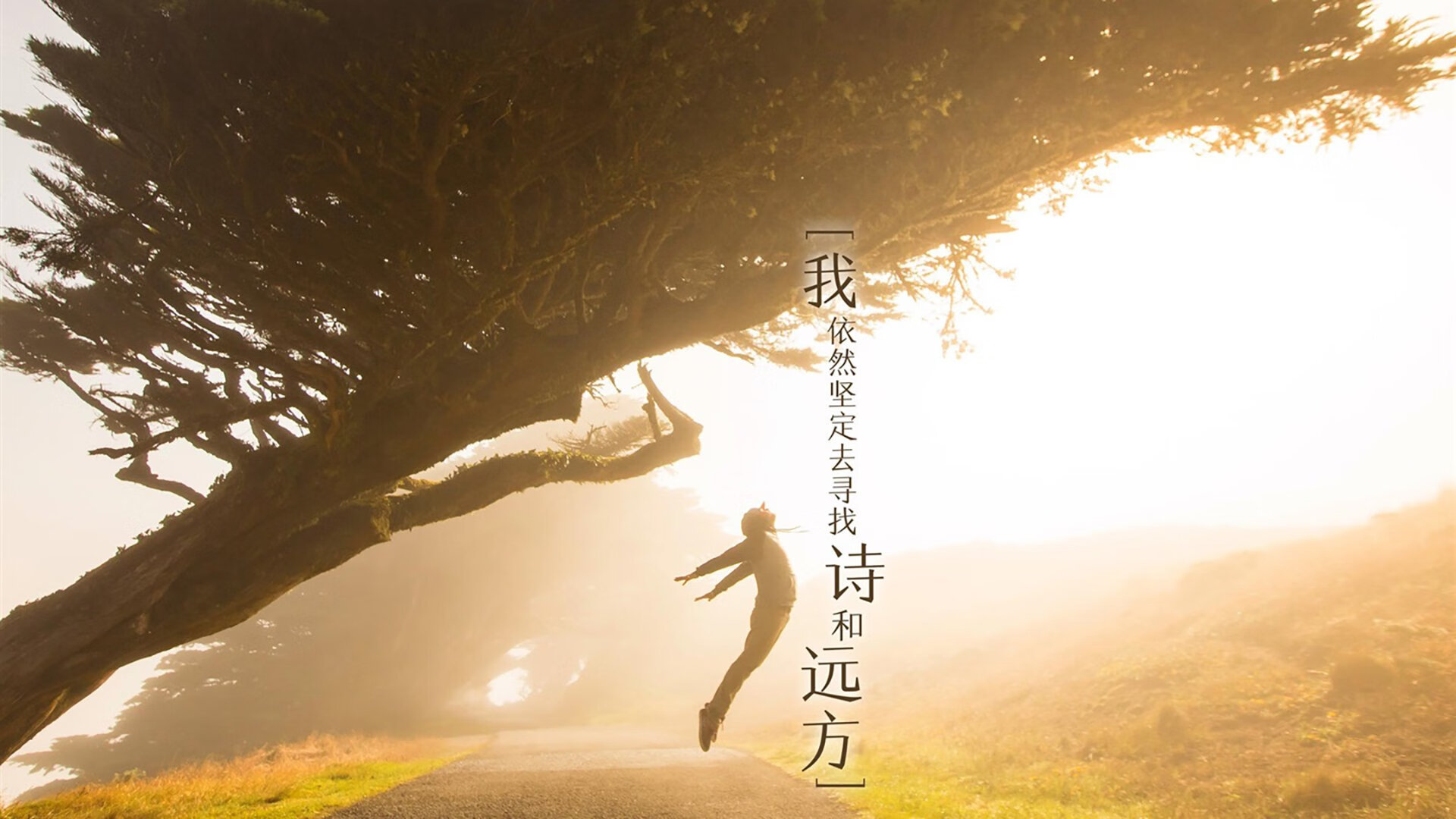 AYX体育-TL迎战LCK劲旅预演激烈，lckt1比赛视频2021