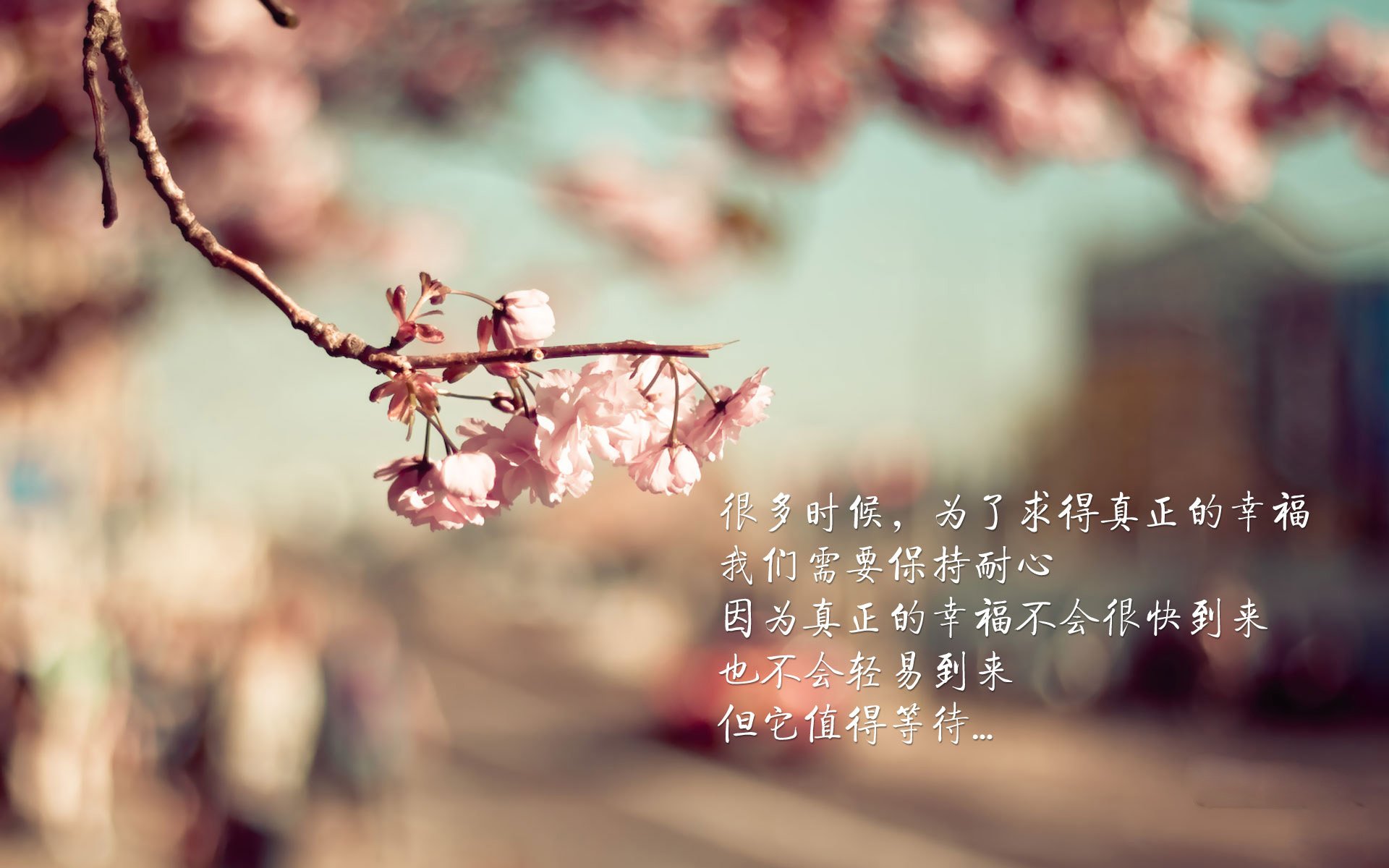 TL遗憾止步LCS半决赛，igvstl半决赛