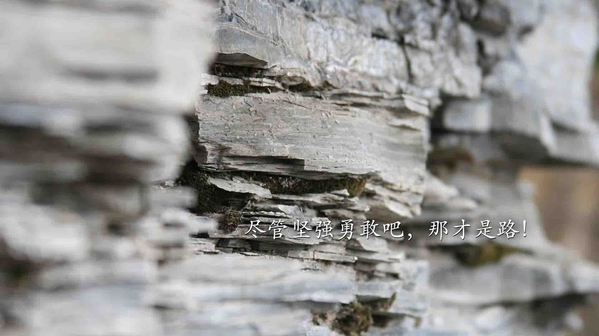 梅斯是否能完成保级目标，梅斯青训