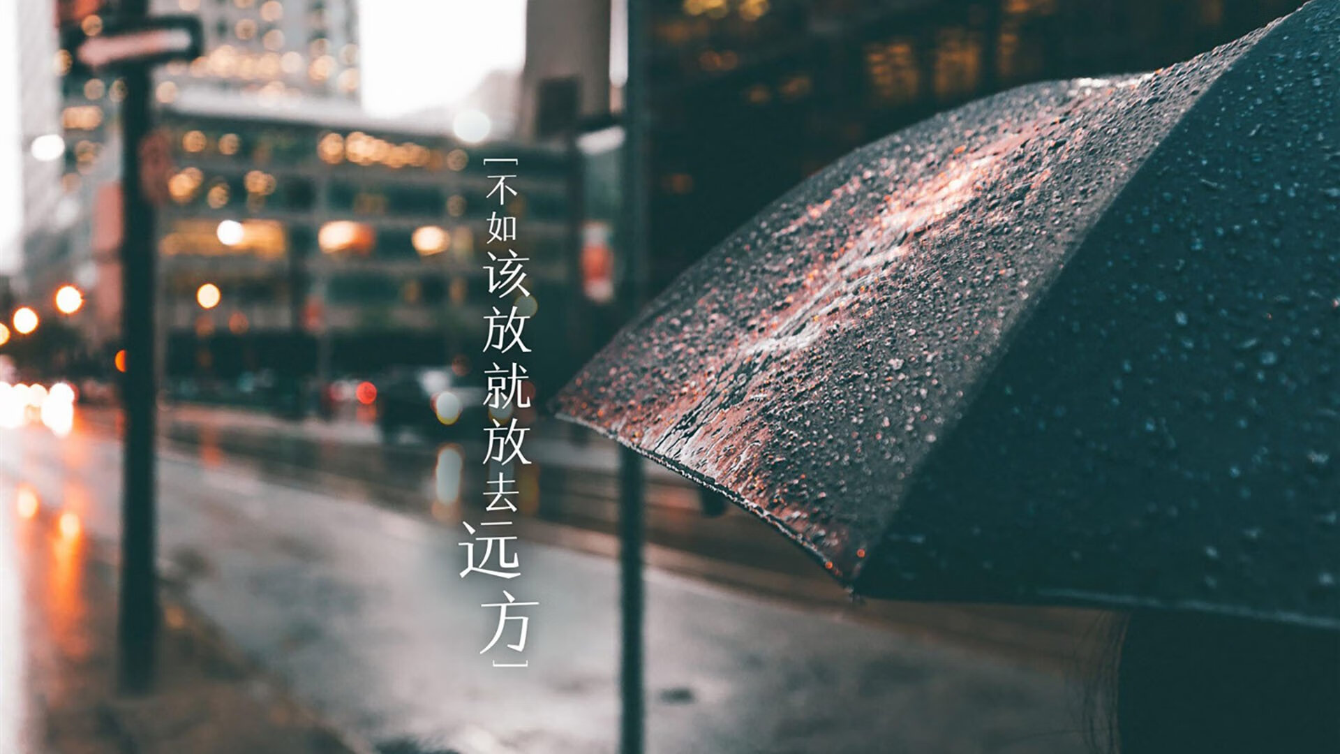 沃特福德前场配合默契，黄蜂军团期待连胜，fm沃特福德
