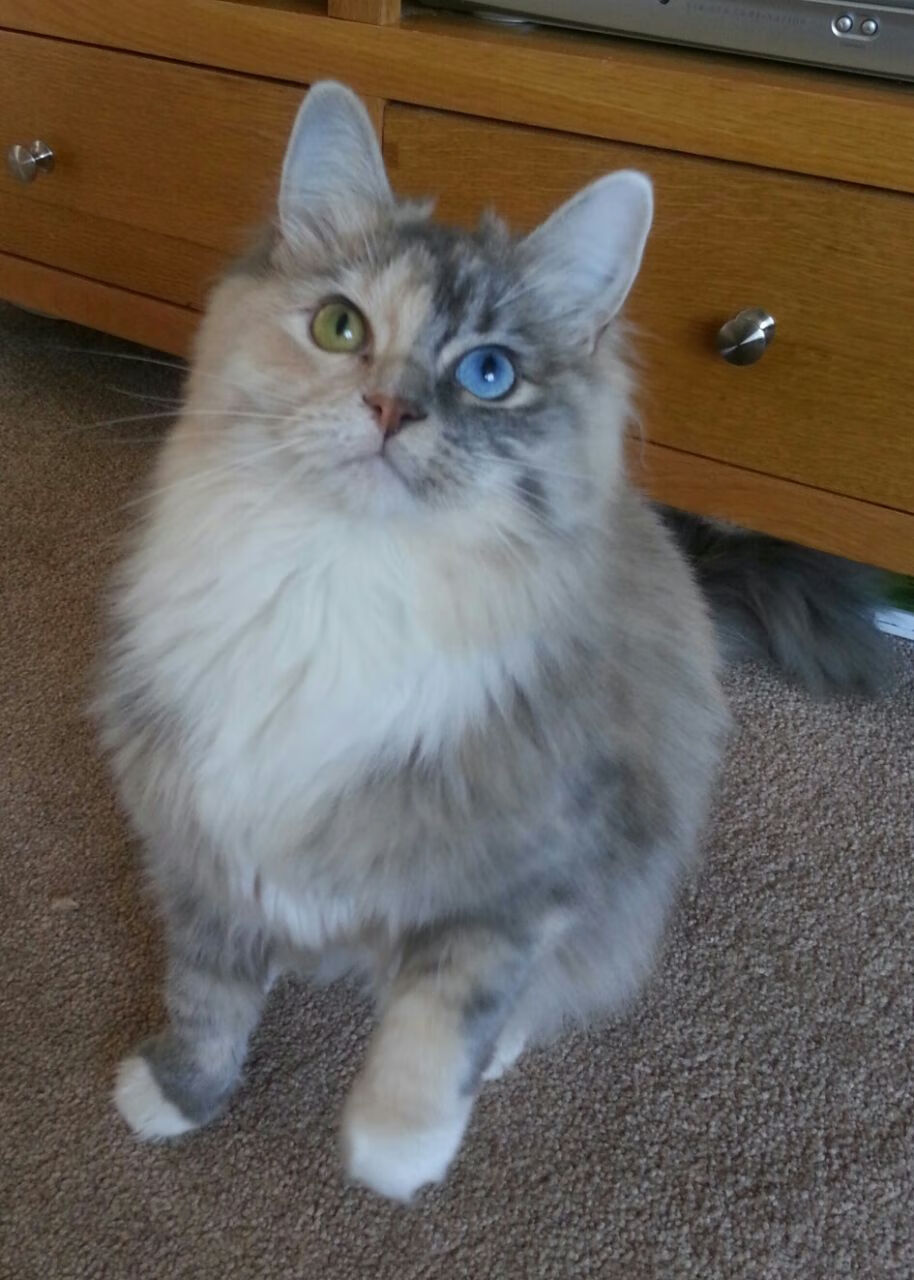 PSG将加大心理辅导,提升球员抗压能力,pes心理