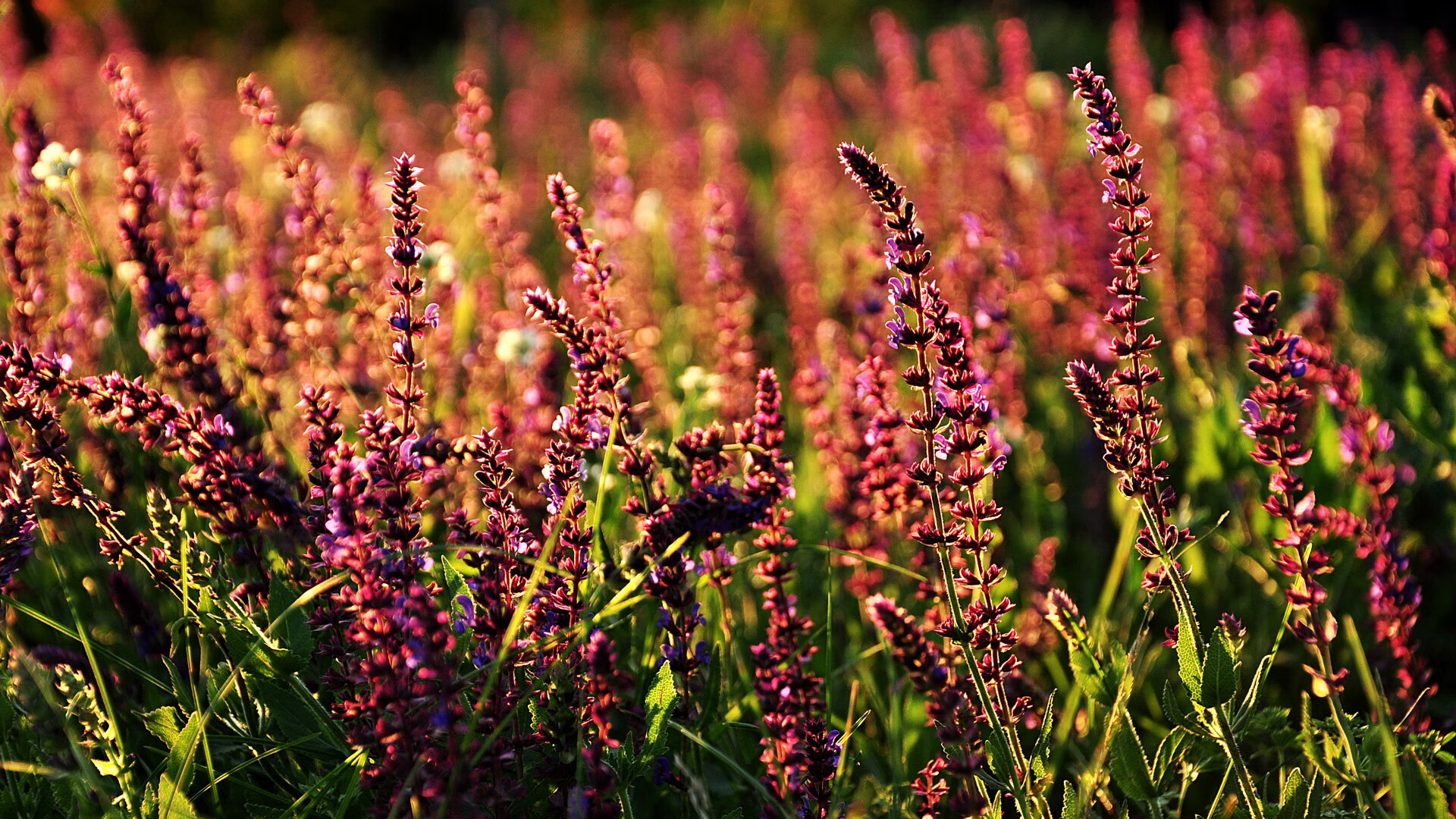 “羽毛球选手超常发挥，简阳文体中心赛场火爆”