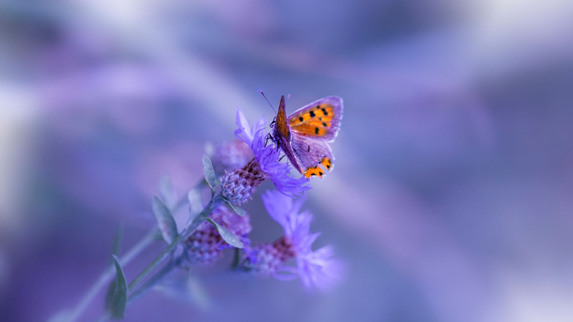 李娜称比赛输赢应当以成长为核心，李娜网球输了