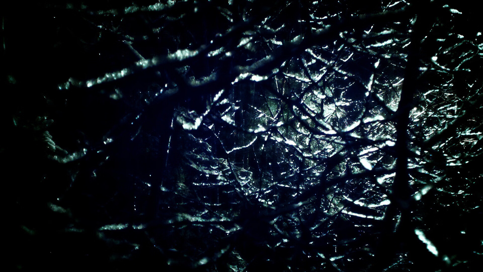 自由泳接力冲刺韩国赢得喝彩，自由泳接力回放