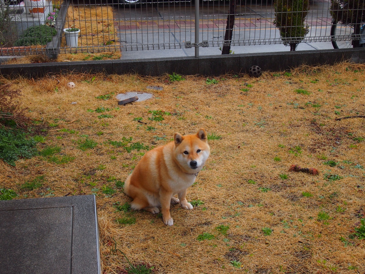 青少年篮球联赛赛事品牌建设提升赛事影响力和专业性，青少年篮球联赛有哪些