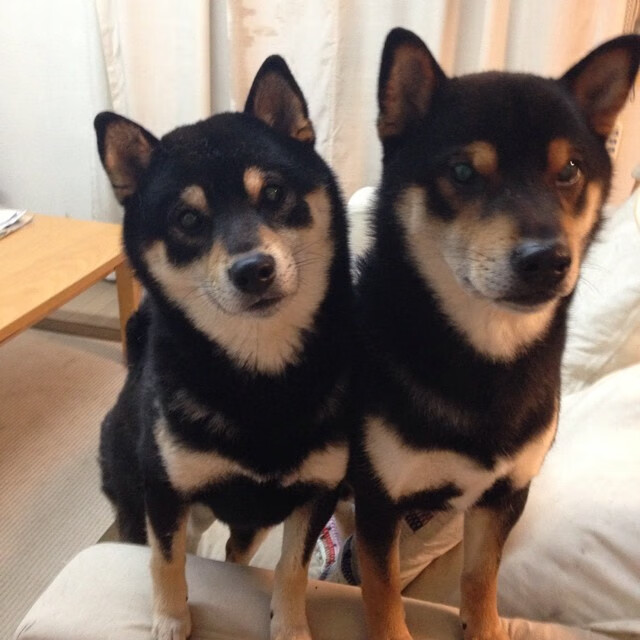 青训中心与体能科研机构共建平台推动研究实践融合，体育青训培训