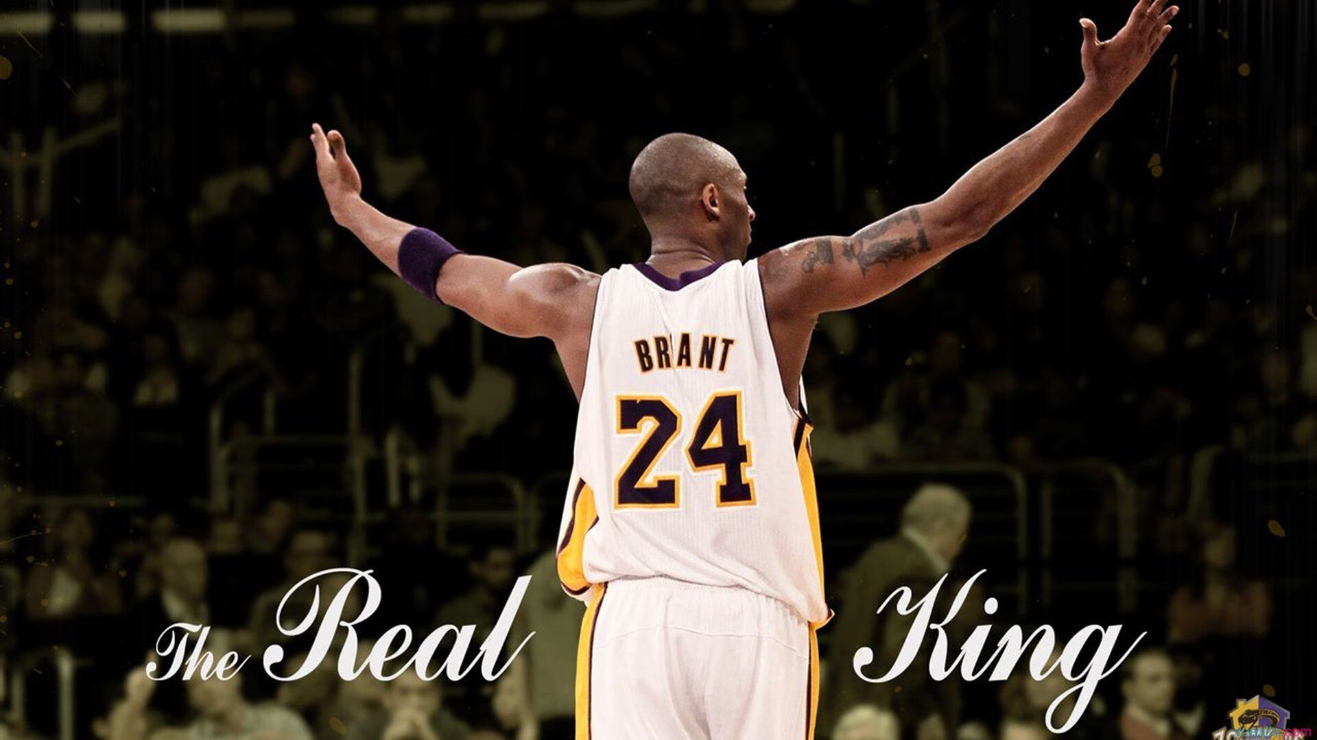 备战秘籍：球队如何应对球员伤缺？，担心球队缺乏深度